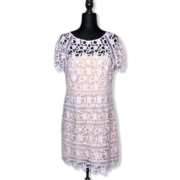 Eliza J Cap Sleeve Lilac Lace Overlay Sheath Dress NWT size 14P - Picture 1 of 8